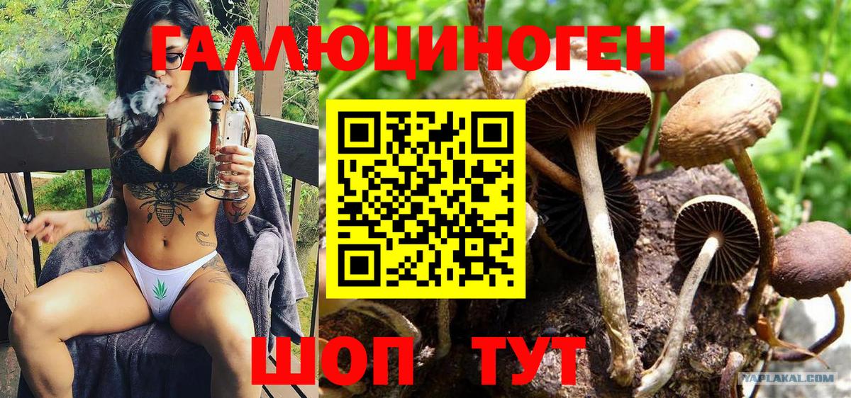 Псилоцибиновые грибы мухоморы  купить наркотик  Вязьма  Вход с VPN 